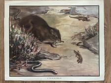 Eileen Soper Vintage School