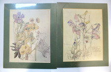 Pair Charles Rennie Mackintosh Mounted Flower Prints, Larkspur & Spurge, 19 x 24