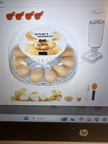 Egg incubator for hatching - incubator,