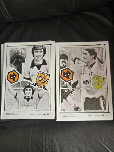 Wolverhampton wanderers home - wolverhampton,