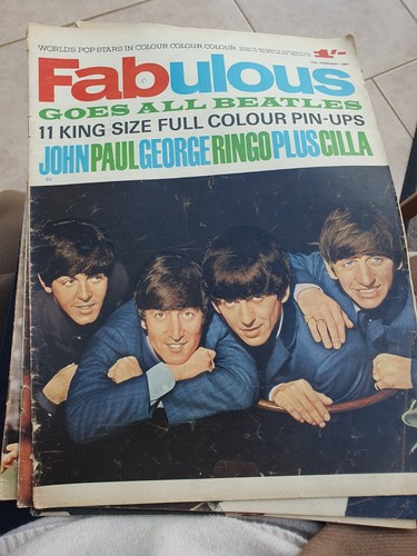 Nostalgic beetles fabulous - beetles,