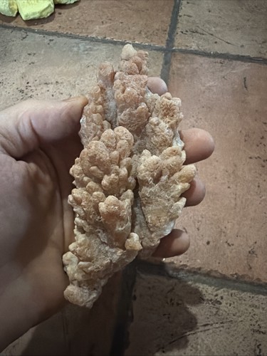 Flos ferri aragonite - flos,