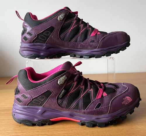 North face gore - face, purple