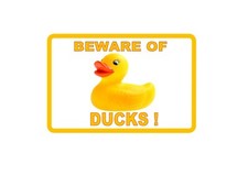 Beware of the Ducks Novelty Bathroom Sign Duck Design Fun Novelty Wall Plaque 