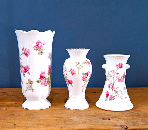 Aynsley elizabeth rose bone - elizabeth,