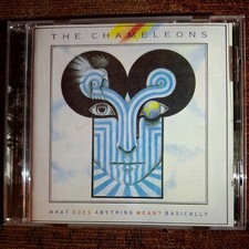 The Chameleons  - What Does