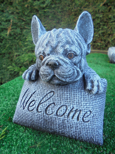 French bulldog welcome - french, stone
