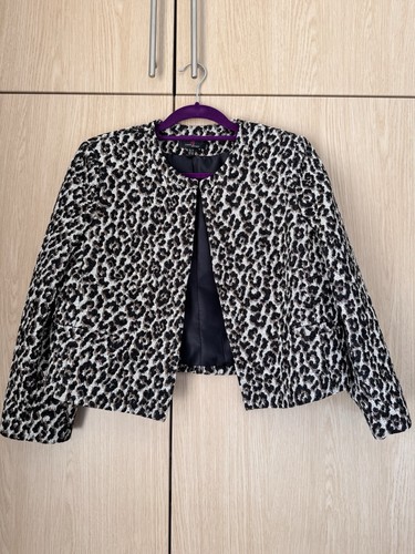 Simon jeffrey leopard coloured - simon,