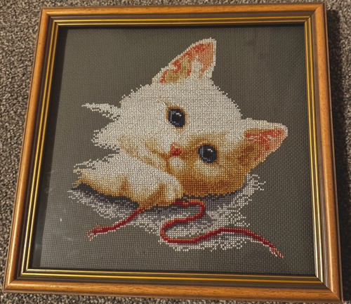 White cat with - cat,