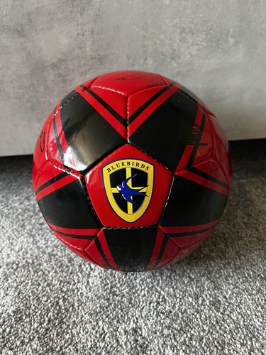 Cardiff city football club - football,