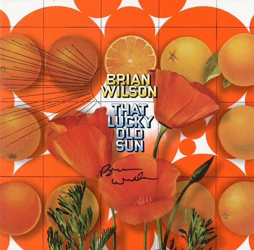 Brian wilson the beach boys - wilson,