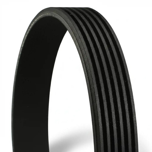 Multi ribbed belt 6pk1019 - multi-ribbed,
