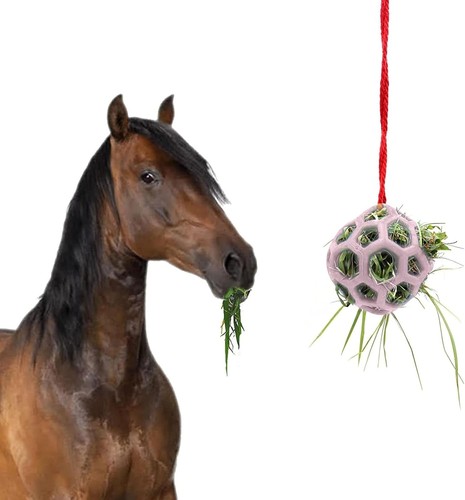 Pet hay feeder ball - feeder, ball,horse