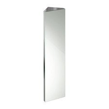 Bathroom Mirror Cabinet Tall