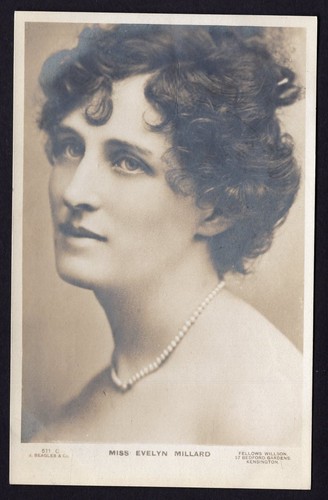 C1908 beagles rppc - beagles,