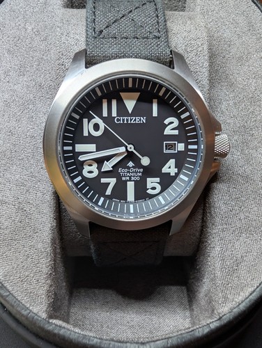 Citizen pro master - pro, titanium