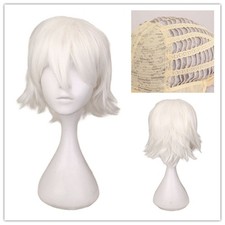 New Cosplay Wig Colorful Male
