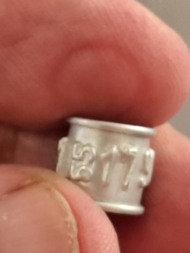 Pigeon ring check - pigeon, republic
