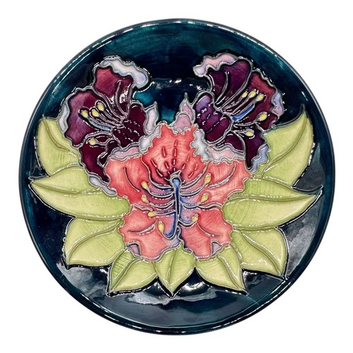 Moorcroft hibiscus - **,