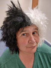 Cruella de Vil Wig 101 Dalmatians Womens Fancy Dress Halloween