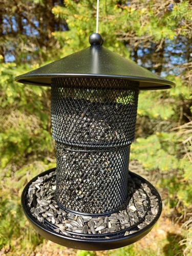 Bird feeder for - bird, outdoor