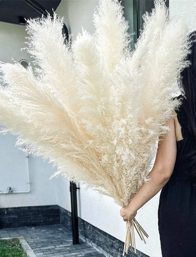 White pampas grass - "46",