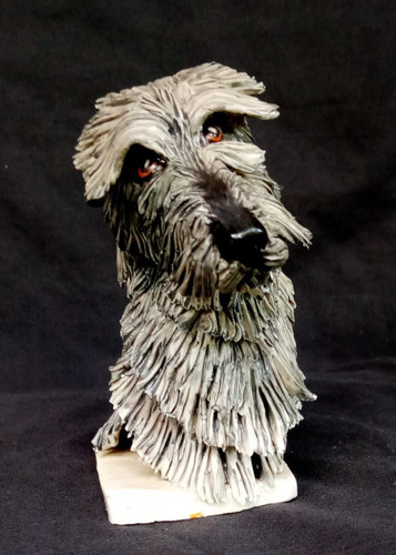 Scottish deerhound irish - deerhound,