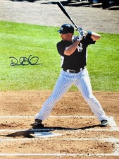 RAUL IBANEZ 2012 New York