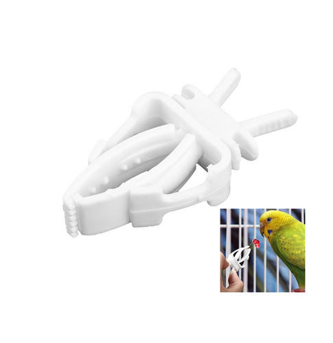 50pcs fruit clips - fruit, bird