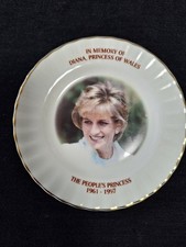 Princess Diana Memorial Plate. Norfolk China