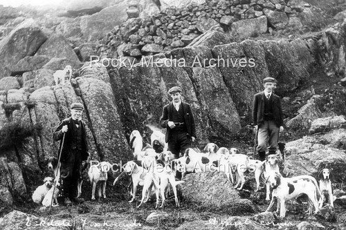 Qqq hunting eskdale - qqq-37,