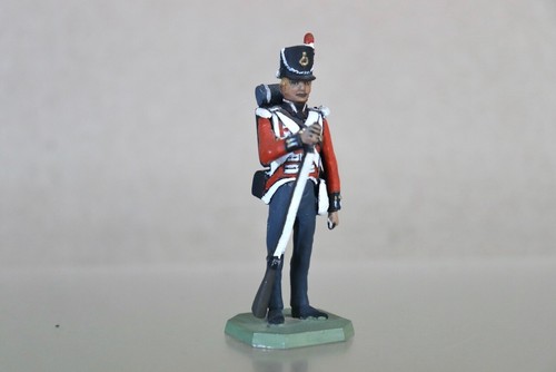 Rose miniatures napoleonic - miniatures,