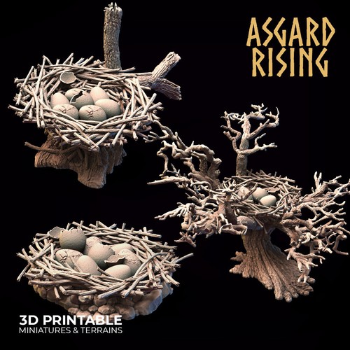 Bird egg nests tabletop dnd - egg, nests,