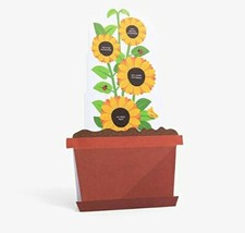 Paperchase Pull Up Sunflower