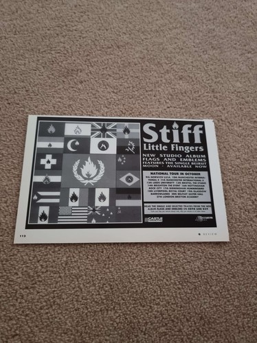 Tnewm129 advert 5x8 stiff - 5x8,