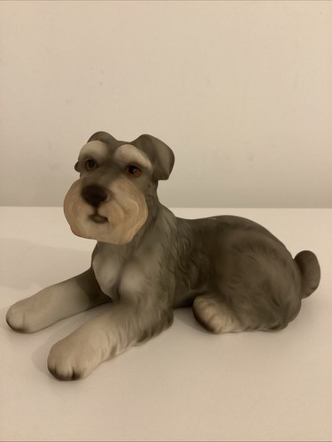 Hhh schnauzer harvey - schnauzer,