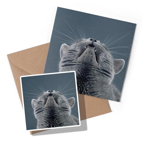 Greeting card sticker - x,