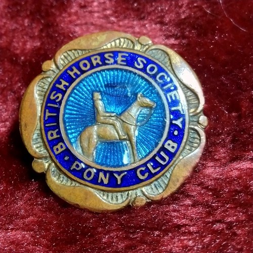 Vintage enamel badge british - badge,