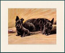 SCOTTISH TERRIER SCOTTIE DOG