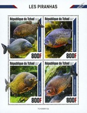 PIRANHAS Piranha Fish/Fishes