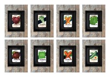 Vintage Unused Seed packets in a hand made framed vegetable Lone Star American
