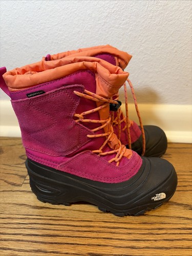 The north face - face, iv