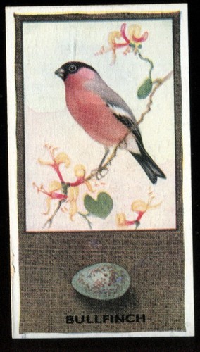 Tobacco card godfrey - card,,