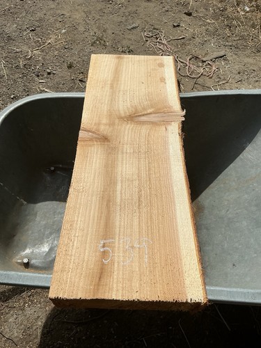 Cedar plank - cedar, slab,cedar