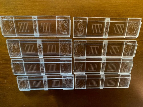 Mcmaster worm egg counting - worm,