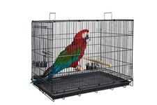 Liberta large transport - ,