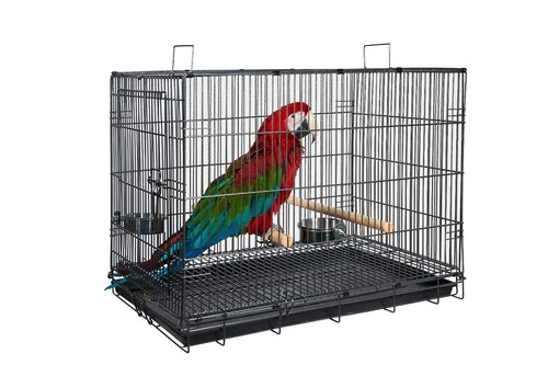 Liberta large transport - ,