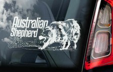 Australian Shepherd Car
