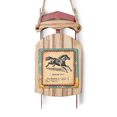 Mustang pony vintage - mustang,