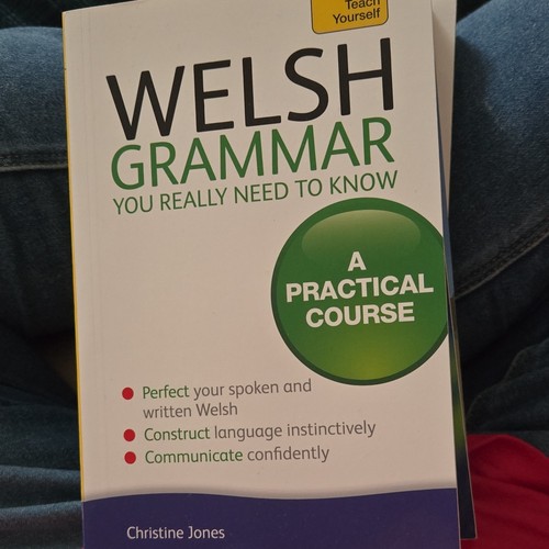 Teach yourself welsh grammar - teach,